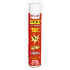 INSECTICIDE ANTI-FRELONS CHOAEX 1L